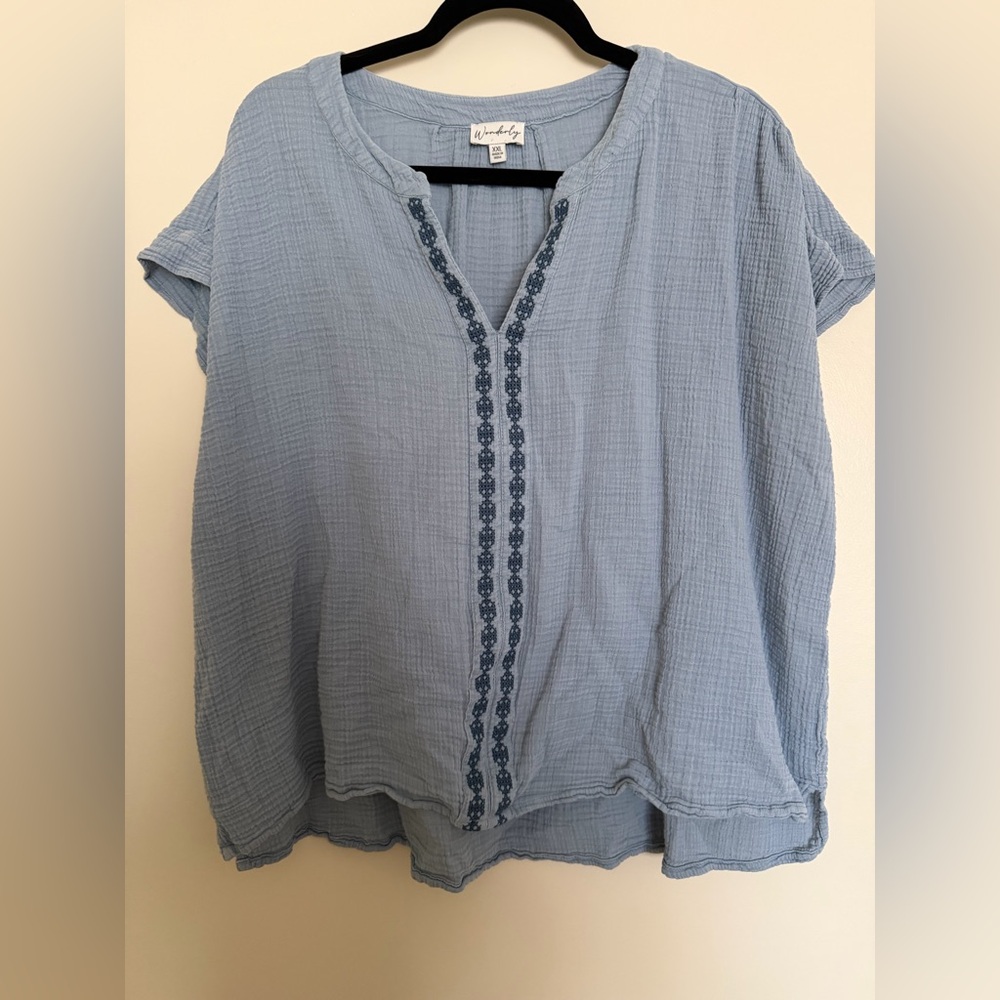Wonderly Light Blue Embroidered Women's Top